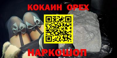 крисы Славгород