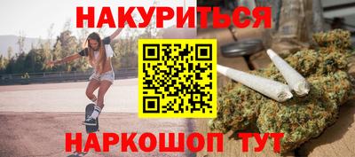 крисы Славгород