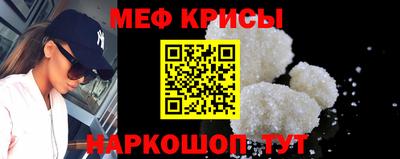 крисы Славгород