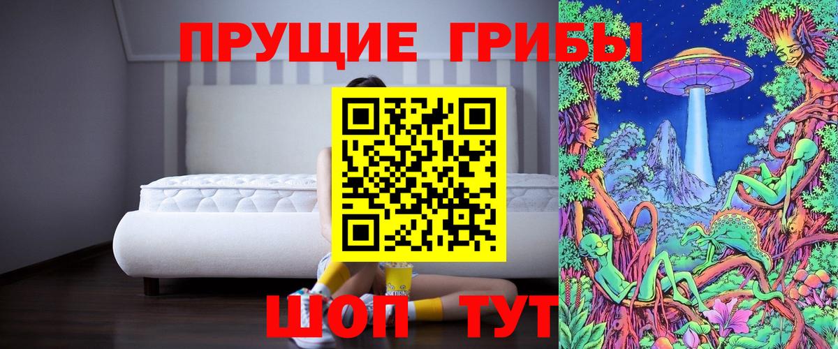 Псилоцибиновые грибы Cubensis  Вход с VPN  Алексин  Галлюциногенные грибы прущие грибы 